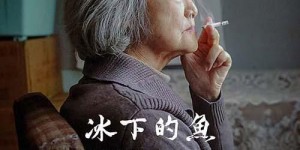 冰下的鱼 Fish Under the Ice【2024】【剧情】【大陆】【WEBRip】【中文字幕】