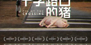 十字路口的猪 Pig at the Crossing【2024】【剧情】【不丹】【WEBRip】【中文字幕】