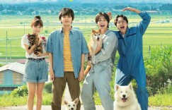 犬部！Inubu【2021】【剧情】【日本】【WEBRip】【中文字幕】