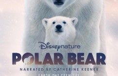 北极熊 Polar Bear【2022】【纪录片】【美国】【WEBRip】【中英字幕】