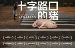 十字路口的猪 Pig at the Crossing【2024】【剧情】【不丹】【WEBRip】【中文字幕】